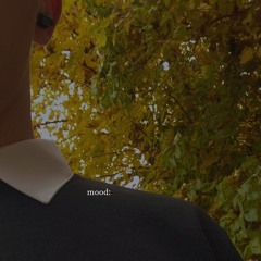 DOMIS