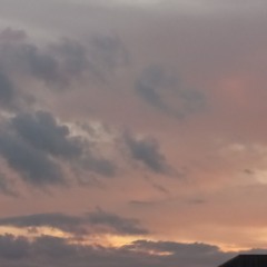 ♤Sky_Devils♤