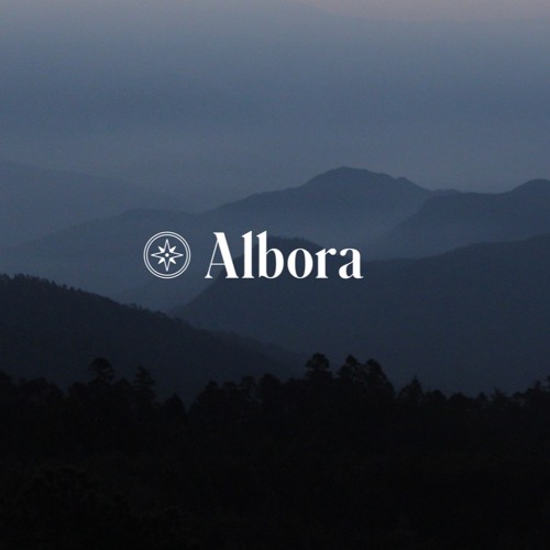 Albora’s avatar