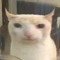 He
