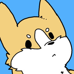 dr doge 101