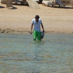 Amer Mh Almouseli