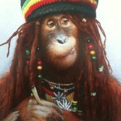 ~Rev~Two Dinners ~ Davo  ~