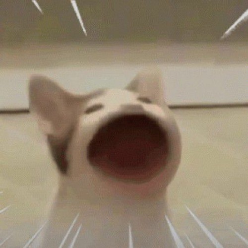 Ước Hẹn Đại Mèo remix - Kaisoul ft Mr Đùm