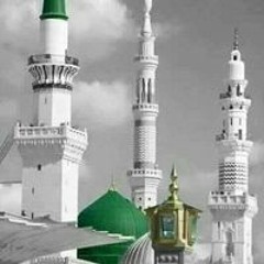 المدينة المنورة