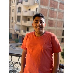 Tarek Aly