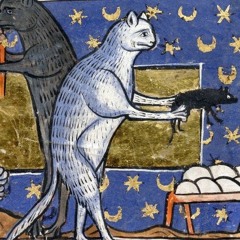 bioluminescent_fungus