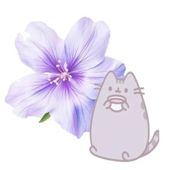 сеня