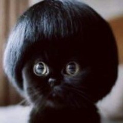 DJ Epstein Didn't Kill Himself