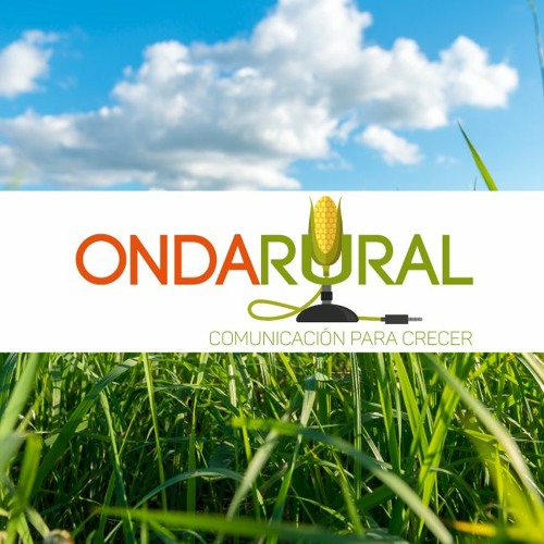 Onda Rural’s avatar