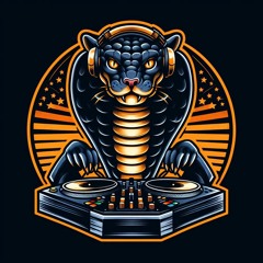 DJ Cobra Cat
