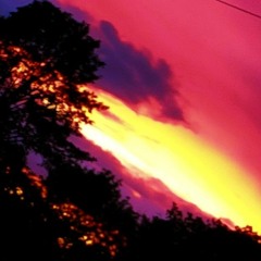 0.Monnar_