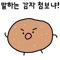 sprouted potato