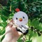 chicken little day6
