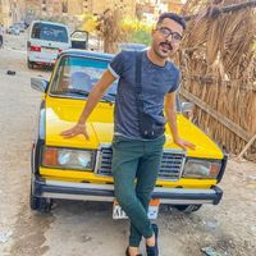Hussein M Farrag’s avatar