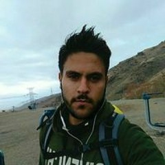 Siavash Miri