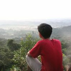 reza