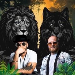 SOLAR KINGS