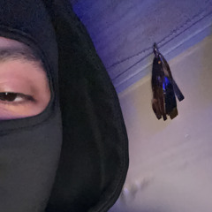 rajo
