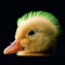 KnarD