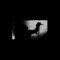 Covens