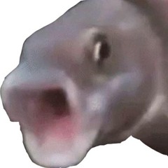 YOOOOOOOOOOO