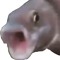 YOOOOOOOOOOO