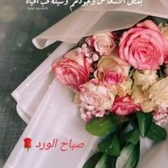 شقائق النعمان