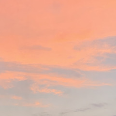Jxrdvn