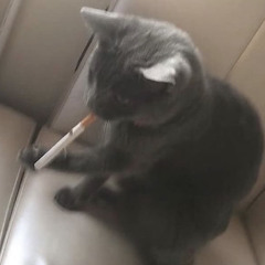 El més jove del cementiri