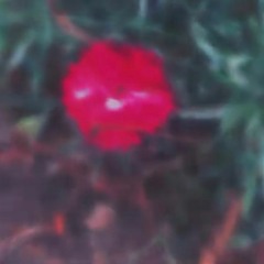 Gwendolyn R. Rebernak-McKee