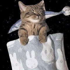 🌠