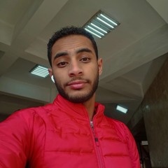 Mohamed Elsaeed