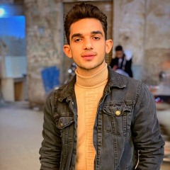 Amr Elhamy