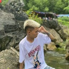 Trương Đình Việt