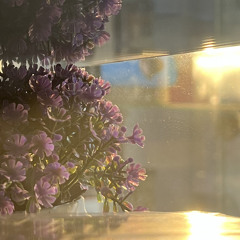 Нияз Нигматуллин