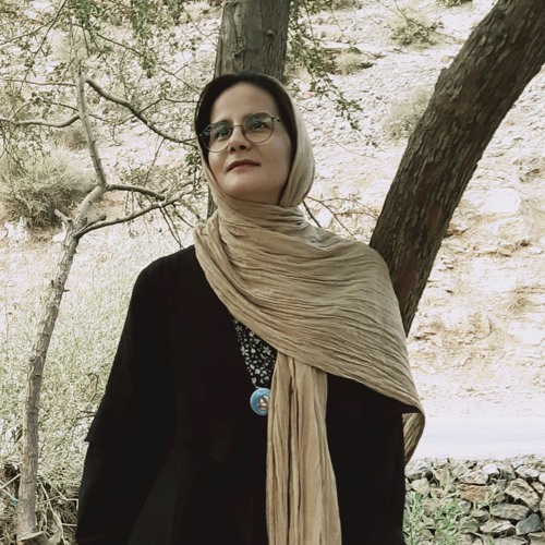 Zeinab Amiri’s avatar