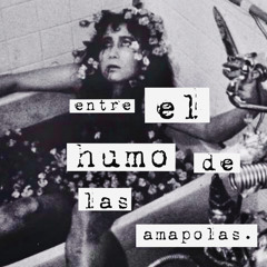 entreelhumodelasamapolas.