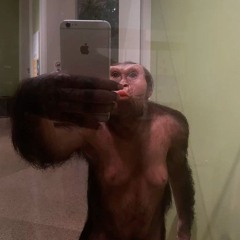 риашка какашка