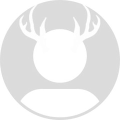 elk