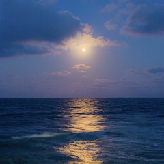 MiMoon7