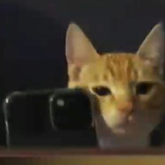 Me