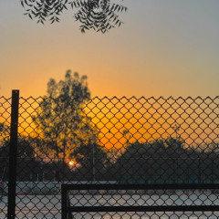Sivney