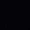 nocturnas