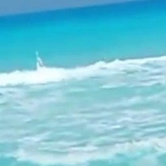 محمد سعيد ابو اسماعيل