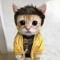 SADCAT