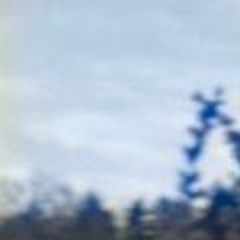 sydnakat (@sydnakat228)