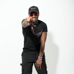 Official H.A.L.O Artist