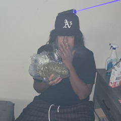 conëjo the bag chaser