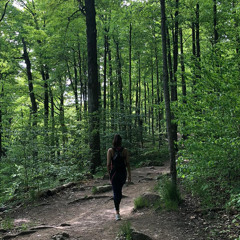 coming up and sometimes down